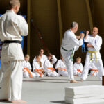 Festyn z okazji Dnia Ojca w Parku Miejskim. Prezentacja Klubu Karate Morawica / Wojciech Habdas / Radio Kielce