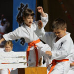 Festyn z okazji Dnia Ojca w Parku Miejskim. Prezentacja Klubu Karate Morawica / Wojciech Habdas / Radio Kielce