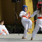 Festyn z okazji Dnia Ojca w Parku Miejskim. Prezentacja Klubu Karate Morawica / Wojciech Habdas / Radio Kielce