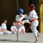 Festyn z okazji Dnia Ojca w Parku Miejskim. Prezentacja Klubu Karate Morawica / Wojciech Habdas / Radio Kielce