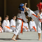 Festyn z okazji Dnia Ojca w Parku Miejskim. Prezentacja Klubu Karate Morawica / Wojciech Habdas / Radio Kielce