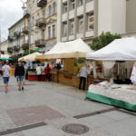 Święto Kielc. Ruszył jarmark na "Sienkiewce" / Wojciech Habdas / Radio Kielce