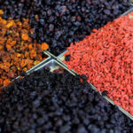 Święto Kielc. Ruszył jarmark na "Sienkiewce" / Wojciech Habdas / Radio Kielce