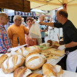 Święto Kielc. Ruszył jarmark na "Sienkiewce" / Wojciech Habdas / Radio Kielce