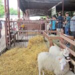 Wystawa w Modliszewicach / Ewa Okońska / Radio Kielce