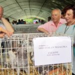 Wystawa w Modliszewicach / Ewa Okońska / Radio Kielce