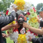 Wystawa w Modliszewicach / Ewa Okońska / Radio Kielce