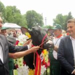 Wystawa w Modliszewicach / Ewa Okońska / Radio Kielce