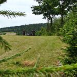 Rekonstrukcja w Wólce Milanowskiej / Stanisław Blinstrub / Radio Kielce