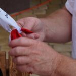 Świętokrzyskie na Fali. 25 lat Wolności (Masłów 21 lipca 2014) / Ewa Kiślak / Radio Kielce