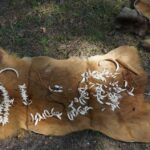 Świętokrzyskie na Fali. 25 lat Wolności (Krzemionki Opatowskie 19 lipca 2014) / Teresa Czajkowska / Konrad Łużniak / Radio Kielce