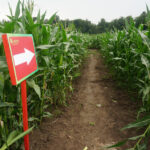 Grażyna Szlęzak - Wójcik / Radio Kielce