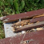 Zdewastowana kielecka Kadzielnia / Krzysztof Żołądek / Radio Kielce