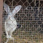 Ewa Kiślak / Radio Kielce