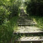 Zdewastowana kielecka Kadzielnia / Krzysztof Żołądek / Radio Kielce