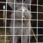 Ewa Kiślak / Radio Kielce