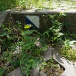 Zdewastowana kielecka Kadzielnia / Krzysztof Żołądek / Radio Kielce