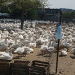 Ewa Kiślak / Radio Kielce