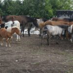 Ewa Kiślak / Radio Kielce