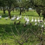 Ewa Kiślak / Radio Kielce