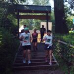 Bieg w okół dębu Bartka w Zagnańsku / Aleksandra Smaruj / Radio Kielce