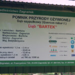 "Świętokrzyskie na Fali. 25 lat Wolności!". Zagnańsk / Ewa Kiślak / Radio Kielce