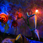 29 lipca 2014 Świętokrzyskie na Fali - Pacanów / Ewa Kiślak / Radio Kielce