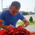 Świętokrzyskie na Fali - Bieliny (31 lipca 2014) / Ewa Kiślak / Maciej Radomski / Radio Kielce