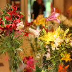 Wystawa lilii w Kieleckim Centrum Kultury / Kamil Król / Radio Kielce