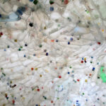 Przy siedzibie Biura Wystaw Artystycznych w Kielcach stanęło igloo, wykonane z plastikowych butelek / Kamil Król / Radio Kielce