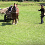 W południe w Ociesękach w gminie Raków odbyły się obchody 70 rocznicy akcji "Burza". / Wojciech Habdas / Radio Kielce