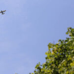 W południe w Ociesękach w gminie Raków odbyły się obchody 70 rocznicy akcji "Burza". / Wojciech Habdas / Radio Kielce