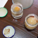 W środę zajęcia na Uniwersytecie Jana Kochanowskiego rozpoczęło 27 młodych naukowców z całego województwa. / Wojciech Habdas / Radio Kielce