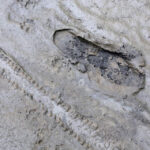 Ścieżka rowerowa i spacerowa w okolicy kieleckiego zalewu w coraz gorszym stanie / Wojciech Habdas / Radio Kielce