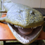 Bieg z okazji 600-lecia Zagnańska / Krzysztof Żołądek / Radio Kielce