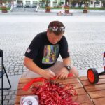 Świętokrzyskie na Fali. 25 lat Wolności Ostrowiec Świętokrzyski / Maciej Radomski / Radio Kielce