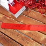 Świętokrzyskie na Fali. 25 lat Wolności Ostrowiec Świętokrzyski / Maciej Radomski / Radio Kielce