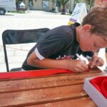 Świętokrzyskie na Fali. 25 lat Wolności Ostrowiec Świętokrzyski / Maciej Radomski / Radio Kielce