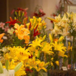 Wystawa lilii w Kieleckim Centrum Kultury / Bartłomiej Zapała / Radio Kielce