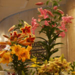 Wystawa lilii w Kieleckim Centrum Kultury / Bartłomiej Zapała / Radio Kielce