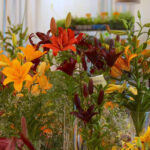 Wystawa lilii w Kieleckim Centrum Kultury / Bartłomiej Zapała / Radio Kielce