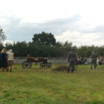 Rekonstrucja historyczna w Swaryszowie (17 sierpnia 2014 r.) / Ewa Pociejowska - Gawęda / Radio Kielce