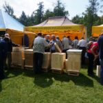 VII Świętokrzyskie Święto Pszczoły w Bałtowie(23 sierpnia 2014 r.) / Teresa Czajkowska / Radio Kielce