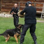 Dzień Świętego Franciszka w Tokarni (17 sierpnia 2014 r.) / Kamil Król / Radio Kielce