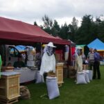 VII Świętokrzyskie Święto Pszczoły w Bałtowie(23 sierpnia 2014 r.) / Teresa Czajkowska / Radio Kielce