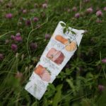 Piotr Michalski / Radio Kielce