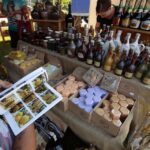 VII Świętokrzyskie Święto Pszczoły / Włodzimierz Batóg / Radio Kielce