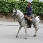 XLIX Marsz Szlakiem I-szej Kompanii Kadrowej / Wojciech Habdas / Radio Kielce