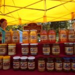 VII Świętokrzyskie Święto Pszczoły / Włodzimierz Batóg / Radio Kielce