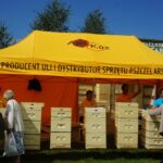 VII Świętokrzyskie Święto Pszczoły w Bałtowie(23 sierpnia 2014 r.) / Teresa Czajkowska / Radio Kielce